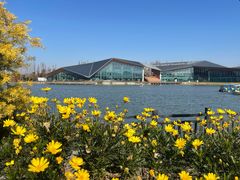 -上海长兴岛郊野公园