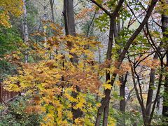 -玉渡山自然风景区