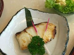 -彩葉·樱花屋日本料理(动物园店)