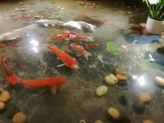 -瓦舍茶馆(聚源路店)