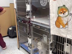 -瑞派康怡24h宠物医院·犬猫医疗中心·微创绝育(瑞景分院)