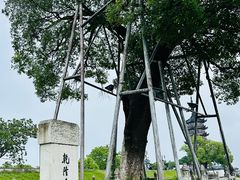 -观潮胜地公园