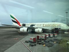 -西沃古尔·拉姆古兰爵士国际机场