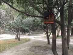 -四川大学(华西校区)