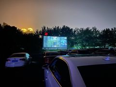 -枫花园汽车电影院(朝阳公园店)