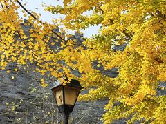 -东华门大街小区