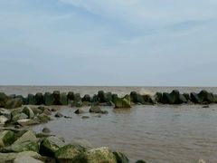 -南汇嘴观海公园