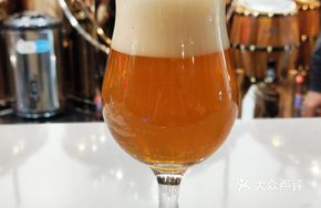 Pilsner Lager