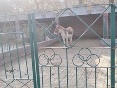 -保定市动物园