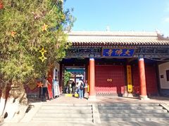 -张掖大佛寺景区