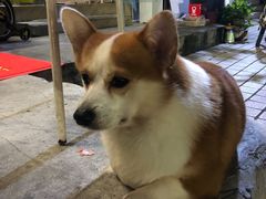 -小梁哥云吞面(黄贝岭店)