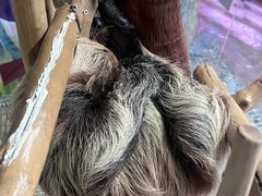 -正佳雨林生态植物园