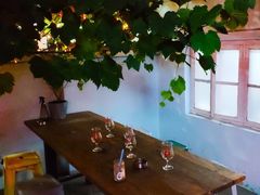 -ZING鲸鱼啤酒(葡萄院店)