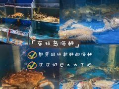水产区-东极岛海鲜