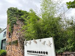 -洋湖国家湿地公园