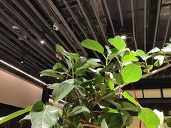 -桂满陇·锦绣江南(益田广场店)
