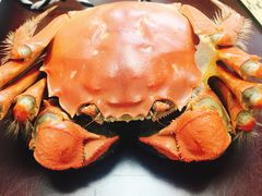 -七的湖·晚芳亭·阳澄湖农家菜·大闸蟹(莲花岛店)