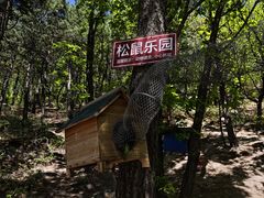 -六里坪国家森林公园