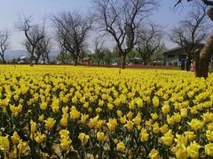 -黄河三峡风景名胜区