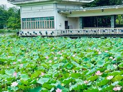 -荔湾湖公园