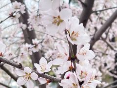 -吉林大学(南岭校区)