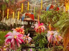 -正佳雨林生态植物园