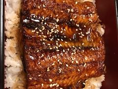 碳烤鳗鱼饭-松涛日本料理