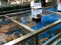 -盒马X会员店(王府井奥莱UP TOWN店)