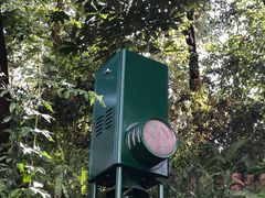 -成都市活水公园