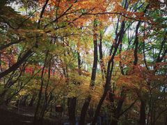 -五女山景区