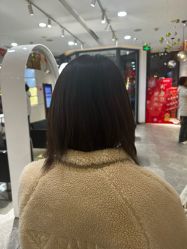 -爱维丽