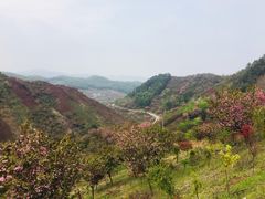 -四明山国家森林公园