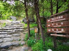 -阳台山自然风景区