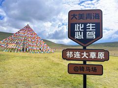 -祁连山草原