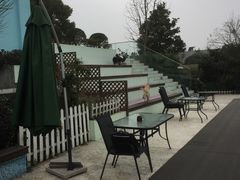-汪说喵讲宠物乐园宠物酒店(红星美凯龙店)