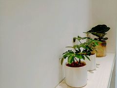 -Onirii Coffee(长乐路店)