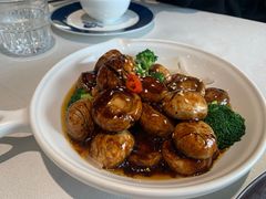 -龙猫意杯花园餐厅(芙蓉湖店)