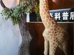 -宝岩生态观光园