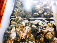 -土蚝·高压锅生蚝(百姓美食街店)