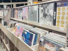 -浣熊唱片店(上海影城店)