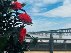 -汉水谣·江景餐厅(江滩店)