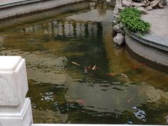 -沈阳师范大学-图书馆