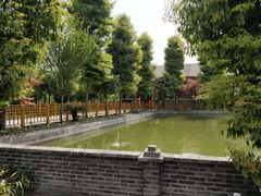 凉面-水岸庭院·乡村柴火鸡