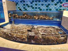 水产区-乔哥铭洋海鲜自助(皇城恒隆广场店)