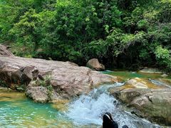 -广州白江湖森林公园