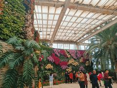 -石家庄市植物园