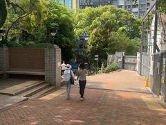 -九龙公园