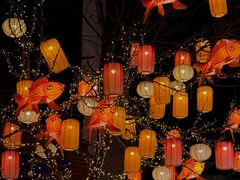 -龙湖星悦荟(颐和店)