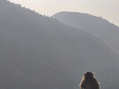 -白帝城·瞿塘峡景区