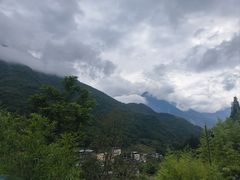 -卧龙中华大熊猫苑神树坪基地